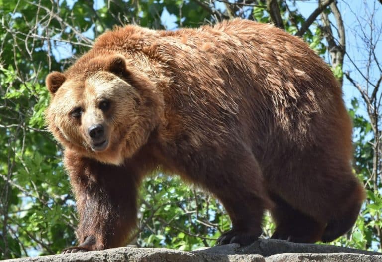 ‘Altfel eforturile vor rămâne doar activităţi de PR’